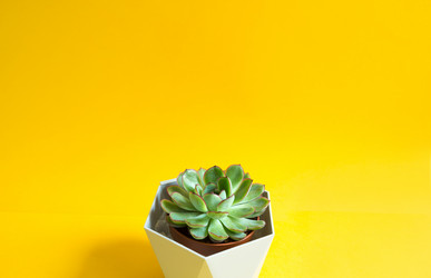 Similar image 21070552