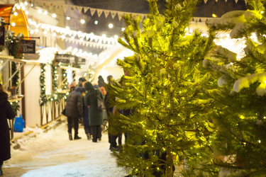 Similar image 21066927