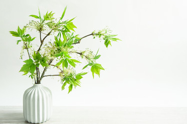 Similar image 21061931