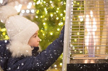 Similar image 21061936