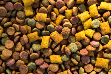 Similar image 21067392