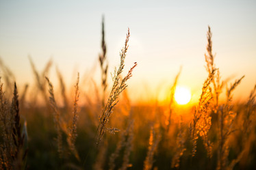 Similar image 21067397