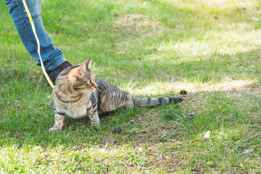 Similar image 21052071