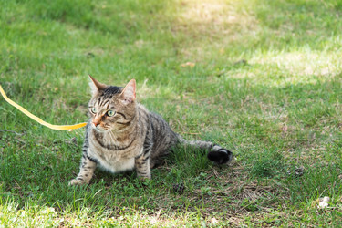 Similar image 21052072