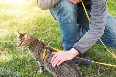 Similar image 21052073