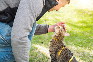 Similar image 21043078