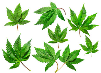 Similar image 21043360