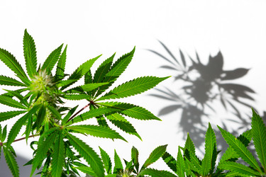 Similar image 21043361