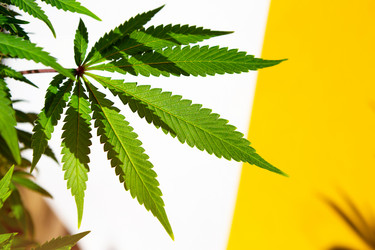 Similar image 21043511