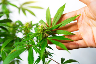 Similar image 21043514