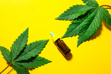 Similar image 21043518