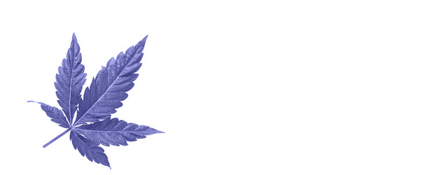 Similar image 21047766