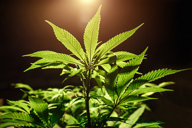 Similar image 21047767