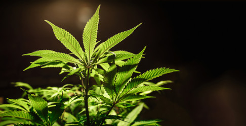 Similar image 21047768