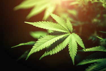 Similar image 21051681