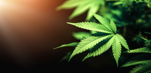 Similar image 21052107