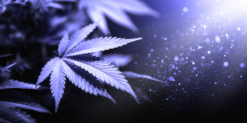 Similar image 21052108