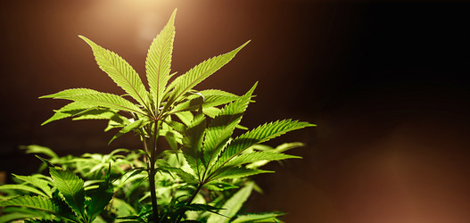 Similar image 21052109