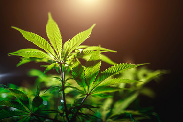 Similar image 21052111