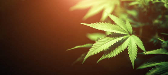 Similar image 21052113