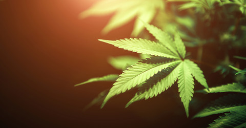 Similar image 21052114