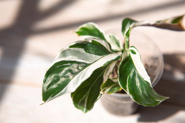 Similar image 21052123