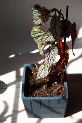 Similar image 21043094