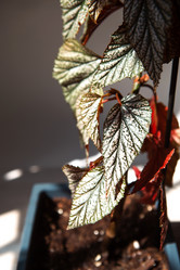 Similar image 21043096