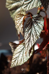 Similar image 21043097