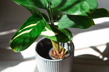 Similar image 21043100