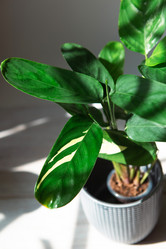 Similar image 21043101