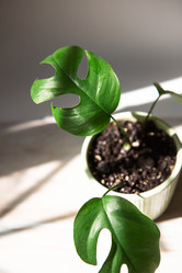 Similar image 21043111