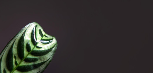 Similar image 21043115