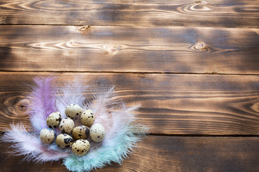 Similar image 21043377