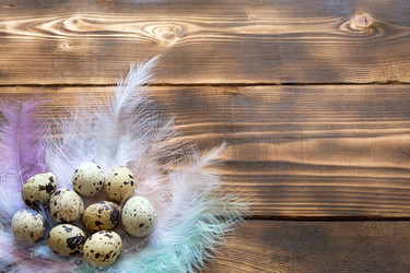 Similar image 21043378