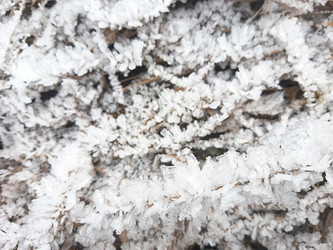 Similar image 21043423