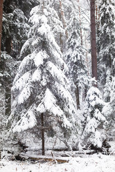 Similar image 21023003