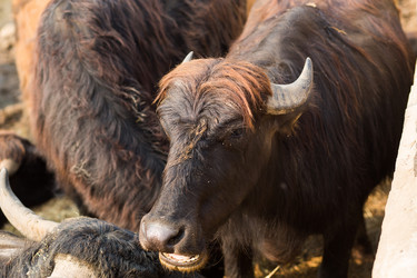 Similar image 21022283