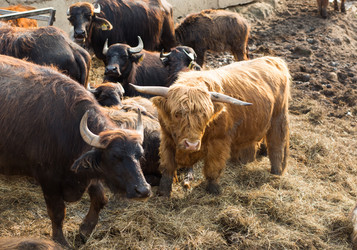 Similar image 21022498