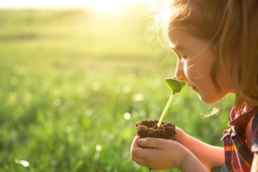 Similar image 21023005