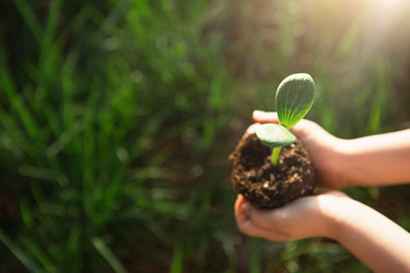 Similar image 21023006