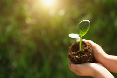 Similar image 21023007