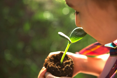 Similar image 21036050