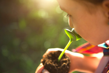 Similar image 21036051