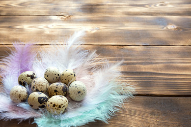 Similar image 21043589