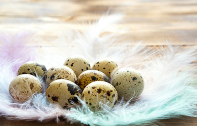 Similar image 21043590