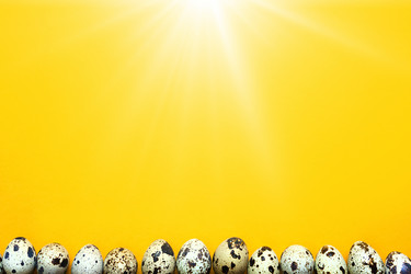 Similar image 21043901