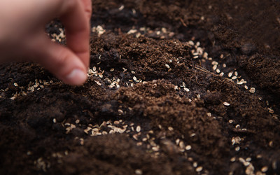 Similar image 21043912