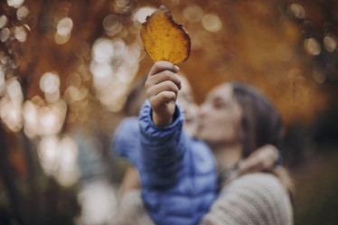 Similar image 21054659