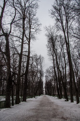 Similar image 21045964